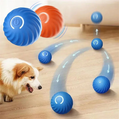 Dog playing with a blue and red ball-like toy on a wooden floor.