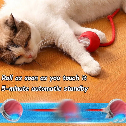 Cat playing with a red and blue toy on a wooden floor