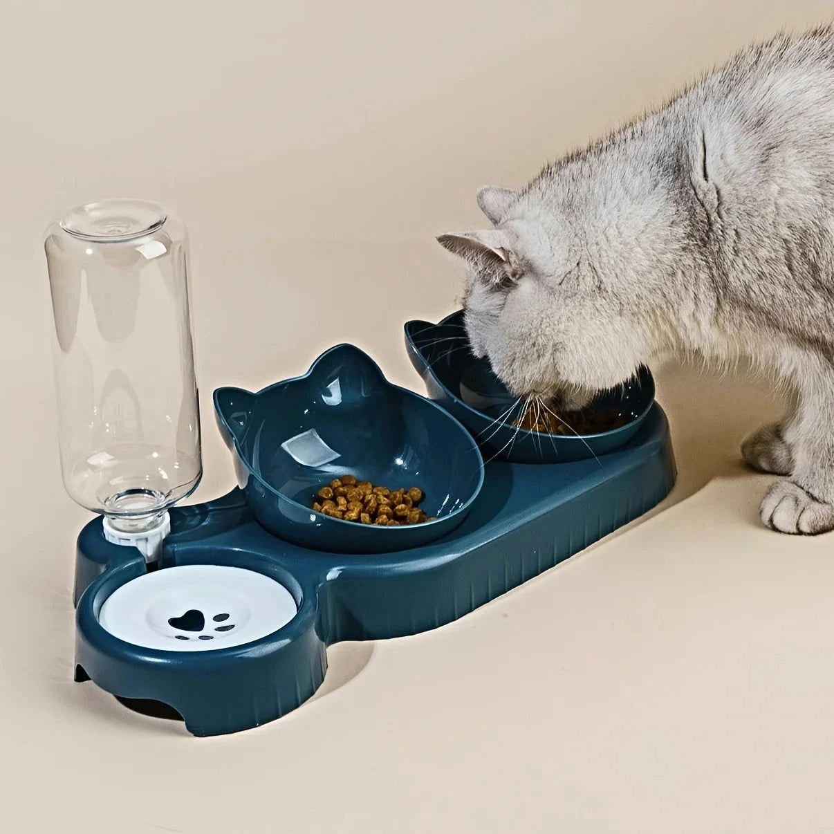 3 in 1 Cat Food Bowl with Water Feeder – Tilted Pet Bowl Set