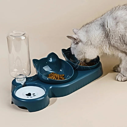 3 in 1 Cat Food Bowl with Water Feeder – Tilted Pet Bowl Set
