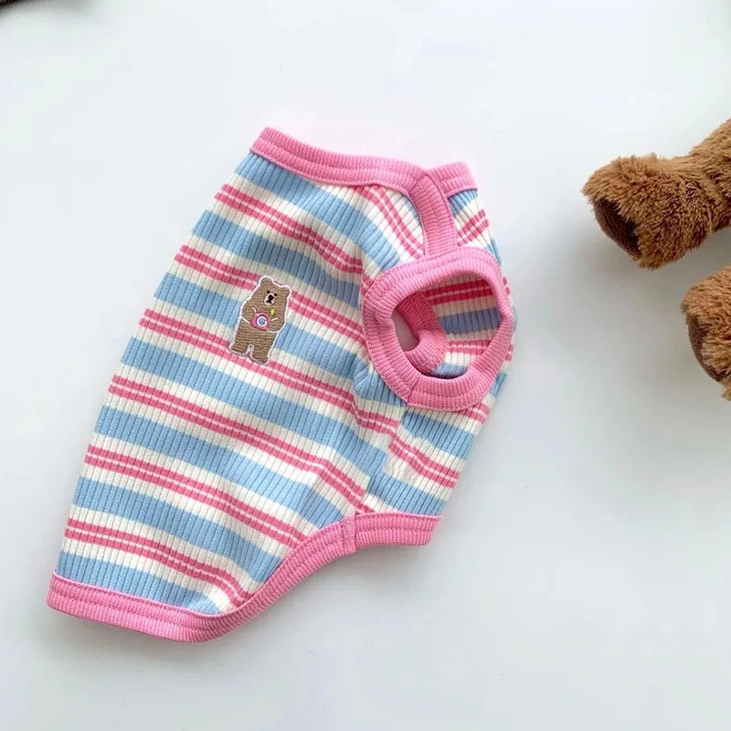 Teacup dog wearing the cotton rib stripe shirt