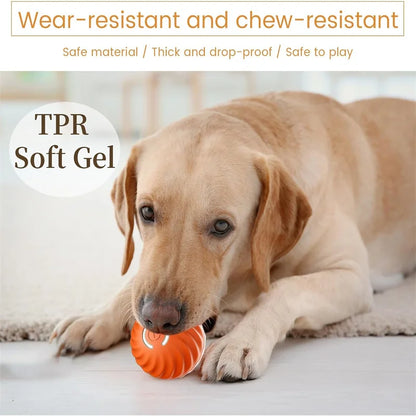 Dog playing with an orange TPR soft gel toy on a light surface.