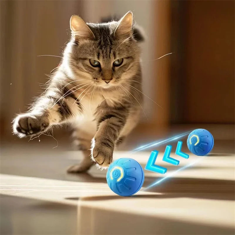 Cat playing with a blue laser pointer toy on a wooden floor.