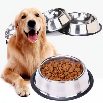 Dog with a bowl of kibble and two empty metal bowls on a white background