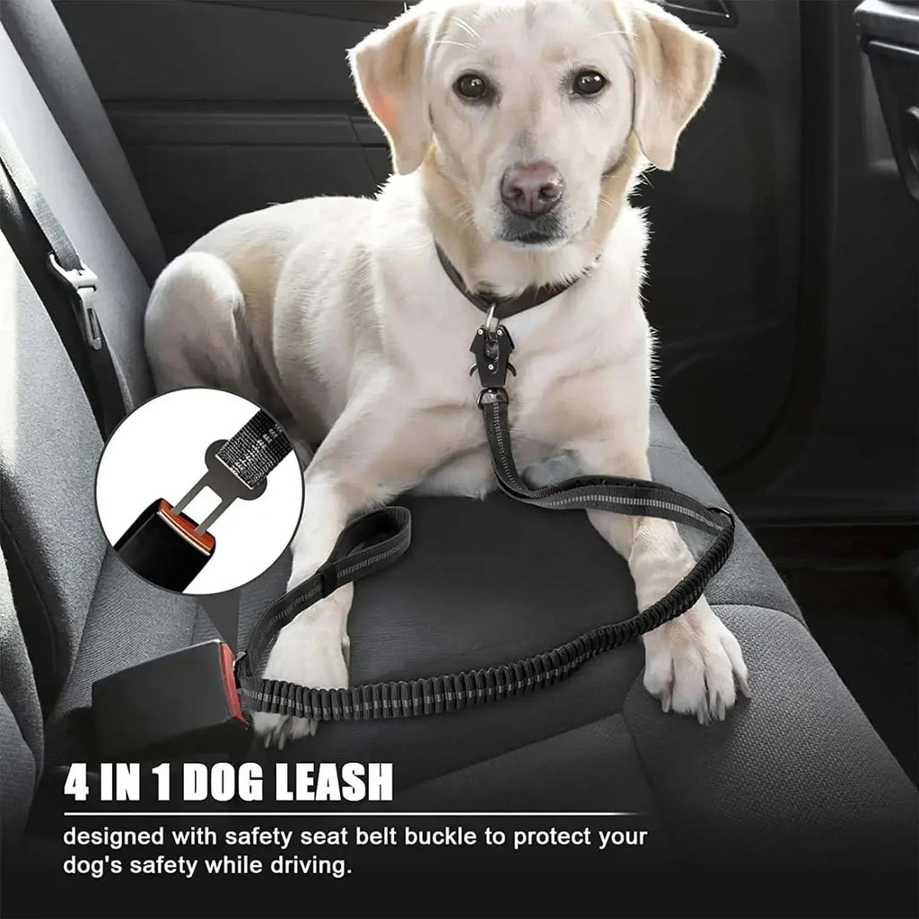 Reflective Bungee Dog Leash with Car Seatbelt – No Pull, Heavy Duty