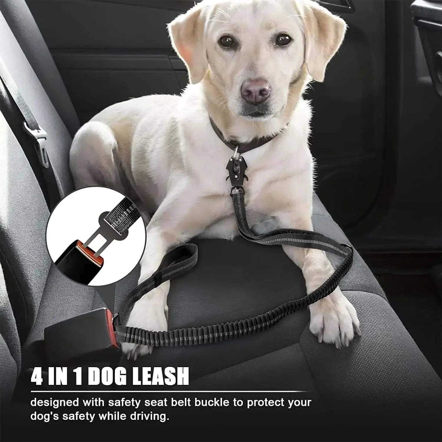 Reflective Bungee Dog Leash with Car Seatbelt – No Pull, Heavy Duty