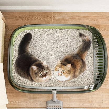 Two cats in a cat litter box on a wooden floor.