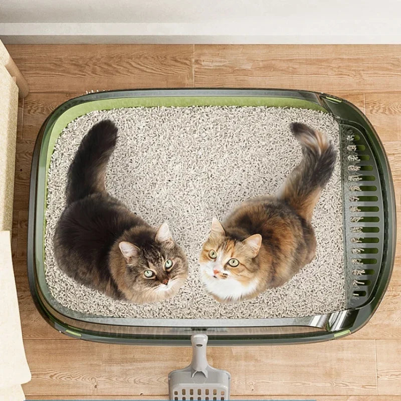 Two cats in a cat litter box on a wooden floor.