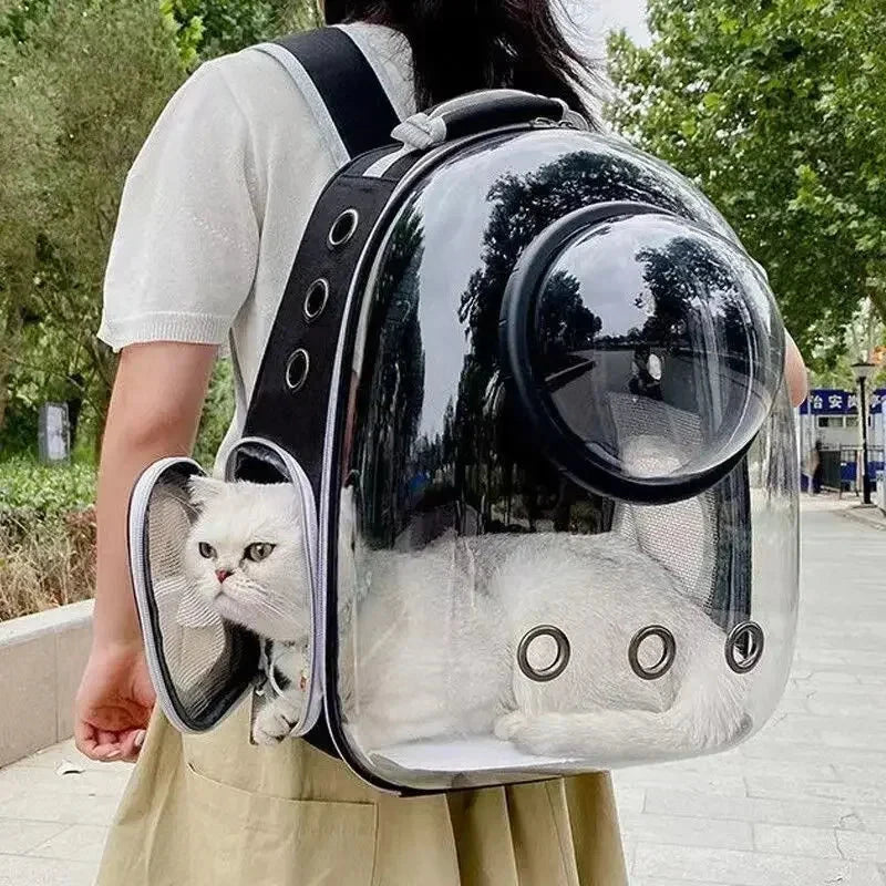 Transparent Pet Backpack Carrier – Breathable Travel Bag for Cats & Dogs