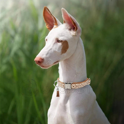 Bohemian Ethnic Style Pet Collars – Adjustable, Durable, Trendy | Whisker House