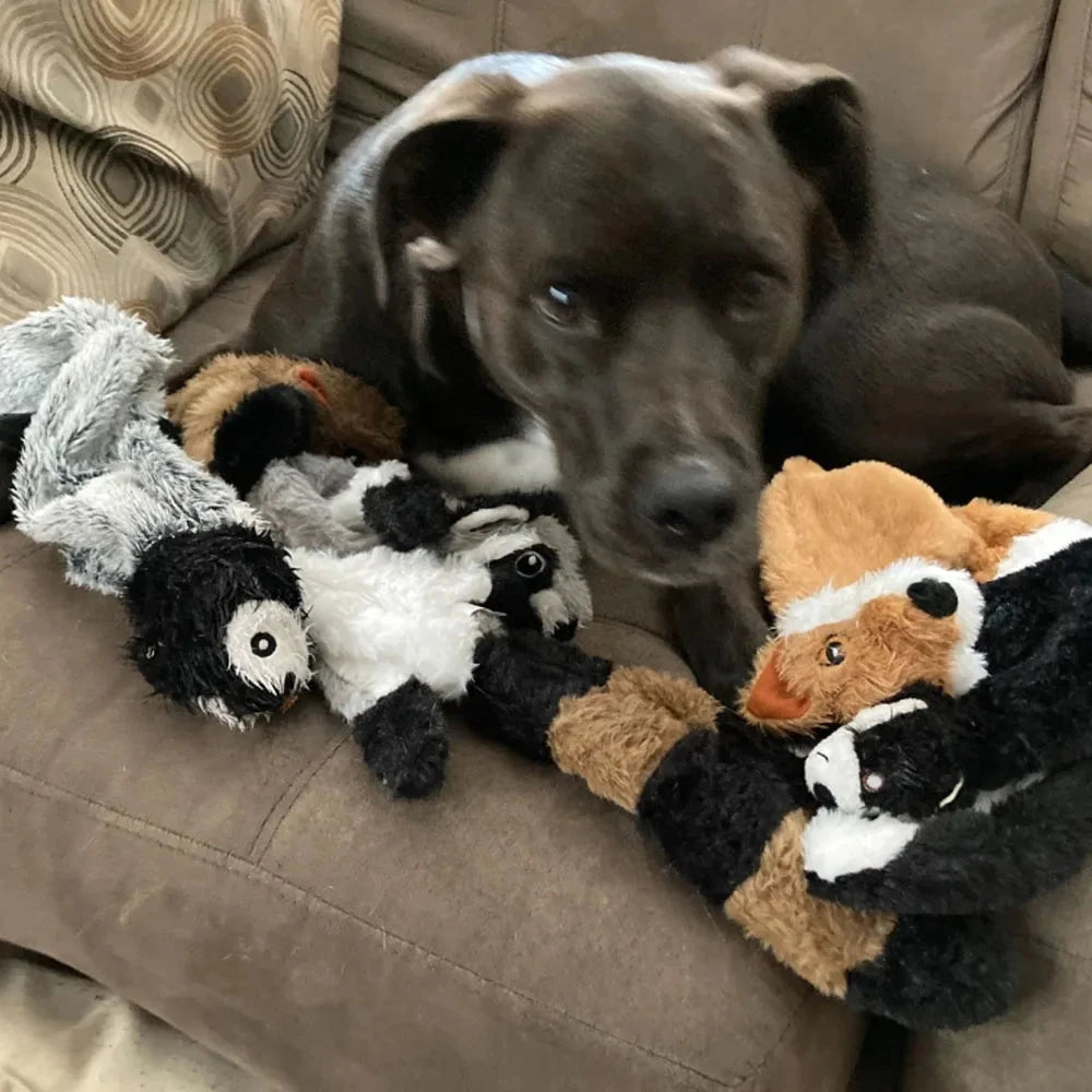 Dog sitting on a couch with plush toys resembling skunks and a badger