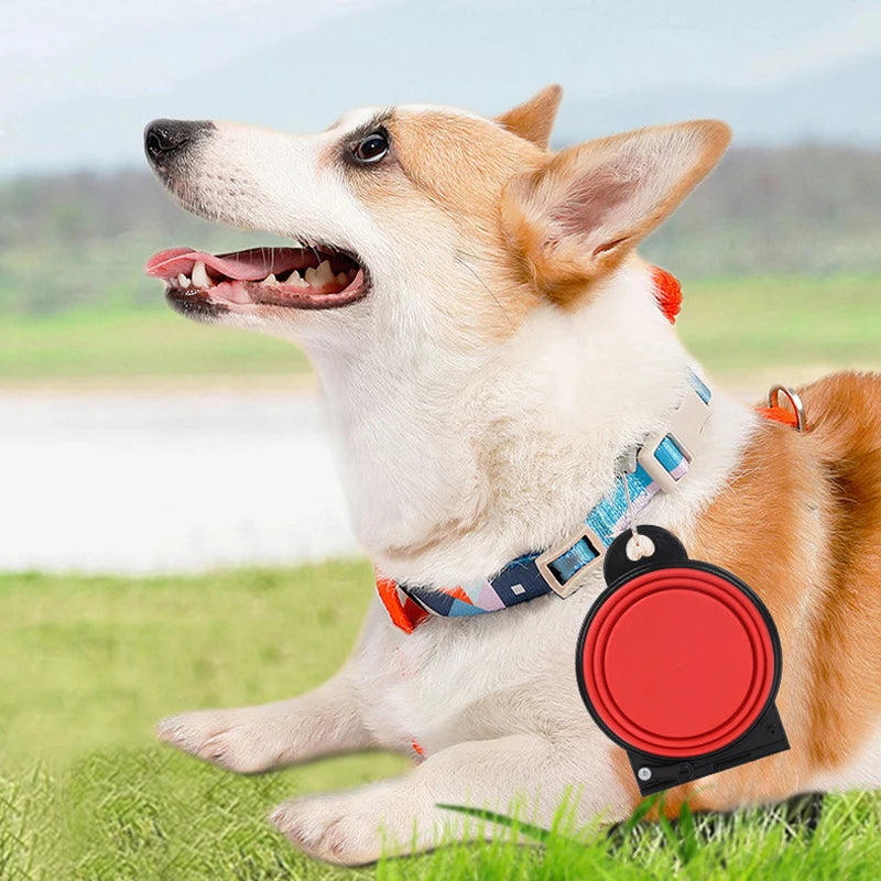 2-in-1 Portable Folding Pet Double Bowl – Travel Food & Water
