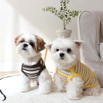 Dog shirt size chart for toy and small breeds