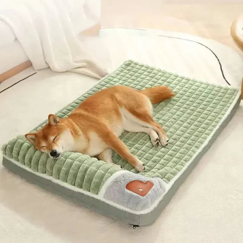Dog lying on a green pet bed with heart design on a light-colored couch.