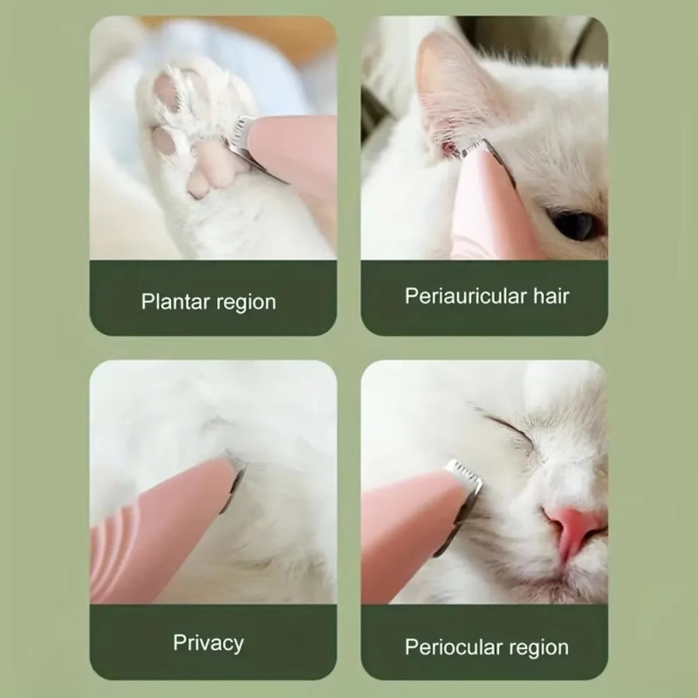 Collage of a white cat being examined at different body parts with labels on a green background.
