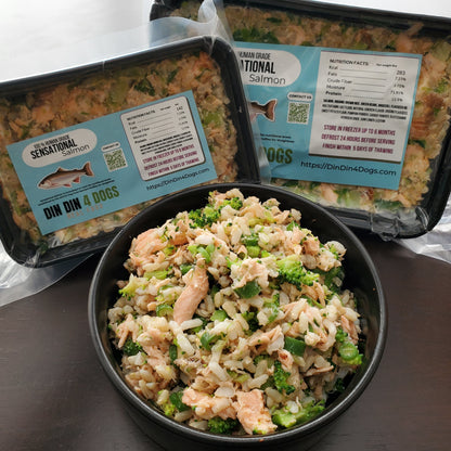Dog food packaging with a bowl of food on a table