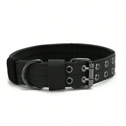 Black dog collar with metal hardware on a white background