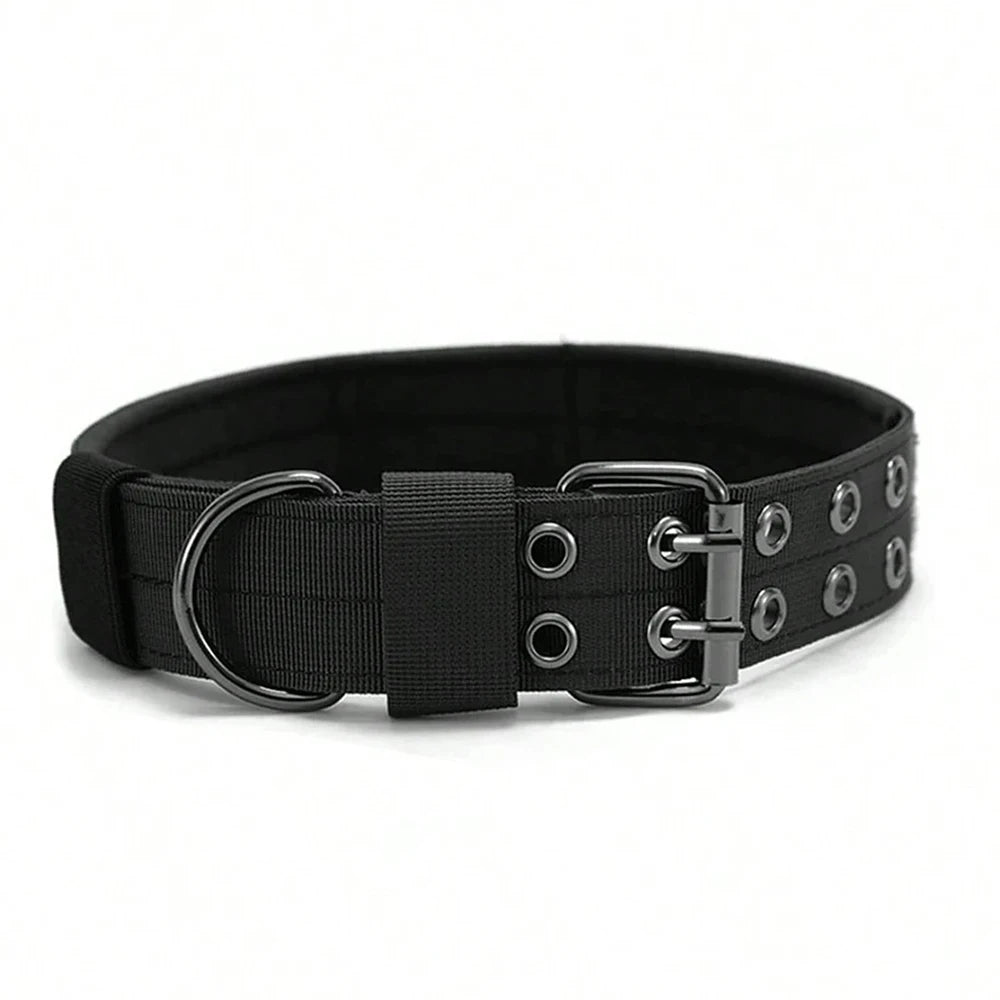 Black dog collar with metal hardware on a white background