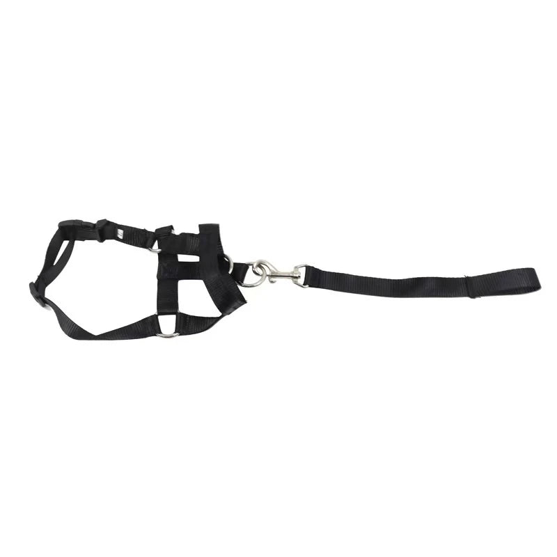 Adjustable Dog Muzzle Halter & Training Collar – Anti-Barking, Anti-Bite Nylon Harness Leash
