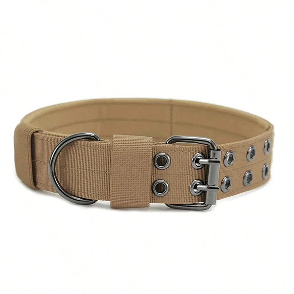 Tan dog collar with metal rings on a white background