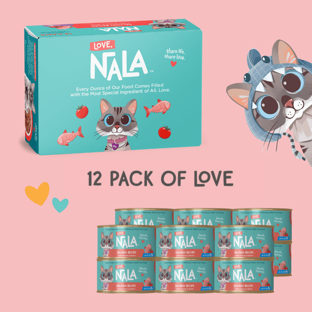 NALA cat food packaging with a cartoon cat character on a pink background