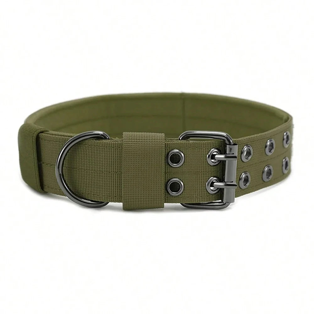 Green dog collar with metal hardware on a white background