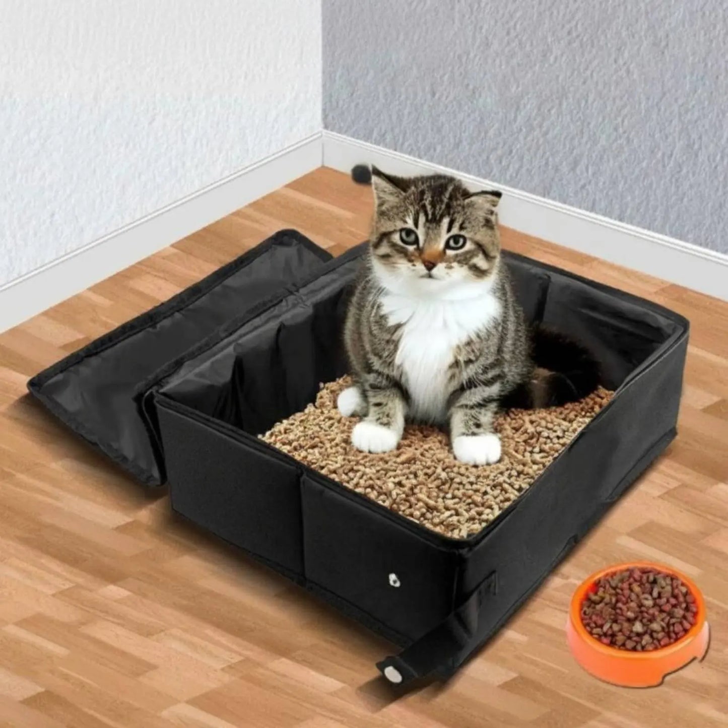 Cat sitting inside a black pet litter box on a wooden floor with a bowl of food nearby.