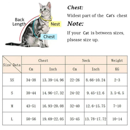 Pet Harness and Leash Set – Breathable & Durable for Small Dogs and Cats