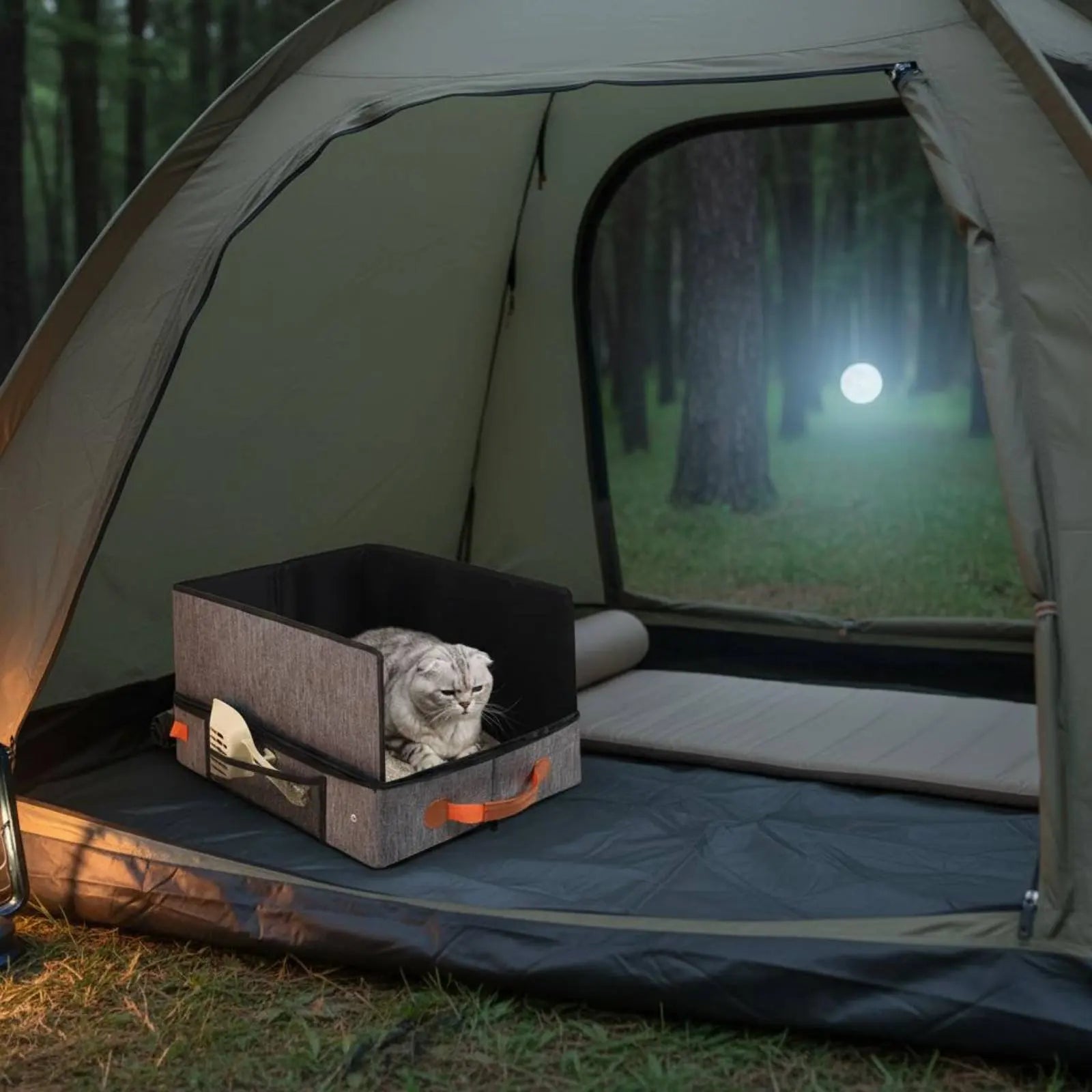 Cat lying in a pet bed inside a tent with a forest view outside