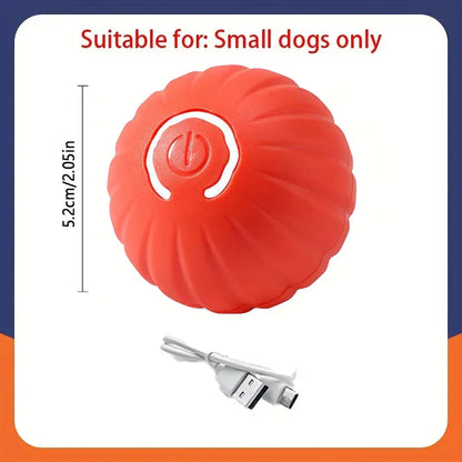 Red electronic dog toy with USB cable on a white background
