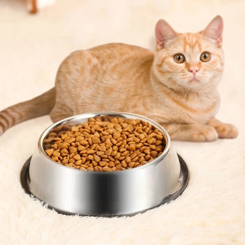 Stainless Steel Pet Bowl – Durable Anti-Slip Feeder for Dogs & Cats
