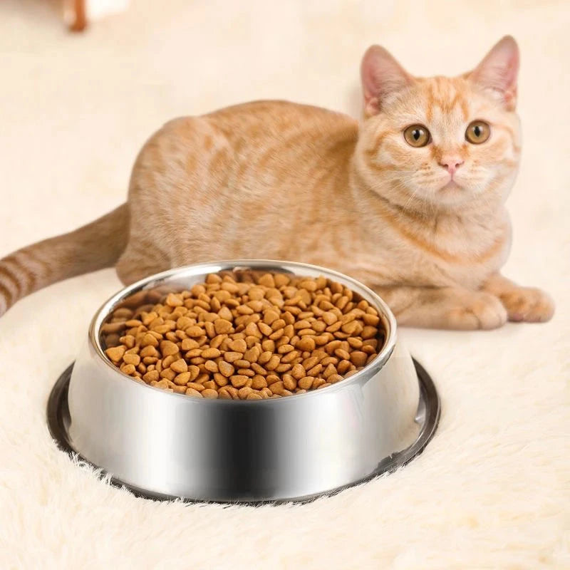 Cat sitting next to a metal bowl filled with cat food on a beige surface