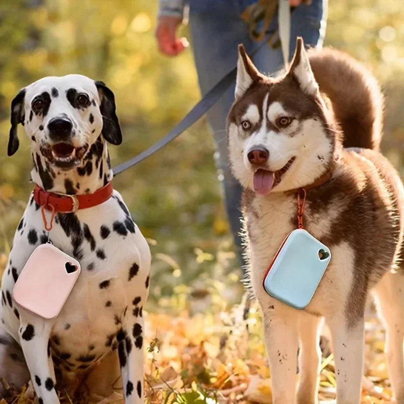 Portable Silicone Dog Treat Pouch – Hands-Free Waterproof Training Bag