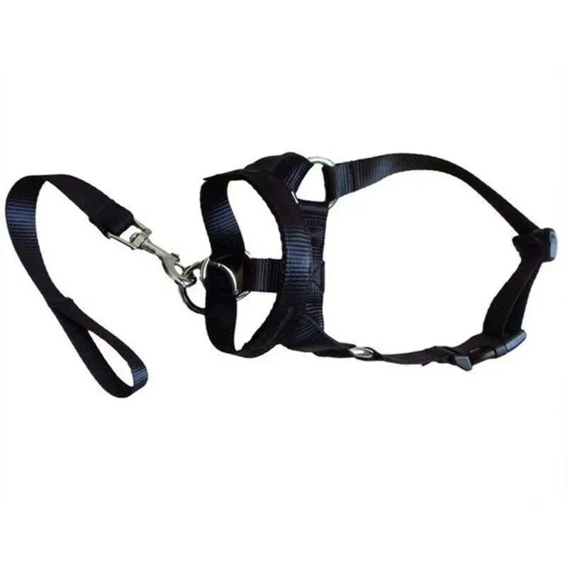 Adjustable Dog Muzzle Halter & Training Collar – Anti-Barking, Anti-Bite Nylon Harness Leash