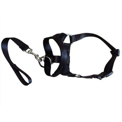 Dog Training Halter Collar | Adjustable No-Pull Dog Leader