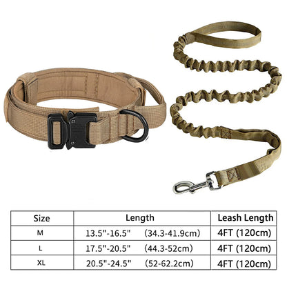 Dog collar and leash set with size chart on a white background