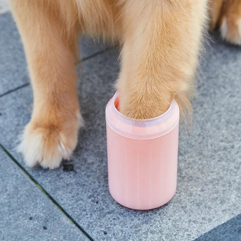 Dog's paw in a pink protective boot on a concrete surface