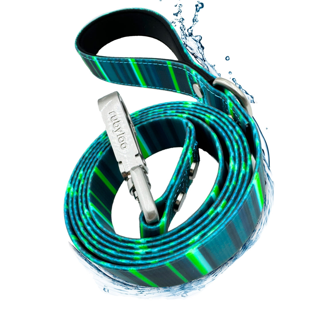 Blue and green striped dog leash with water droplets on a white background