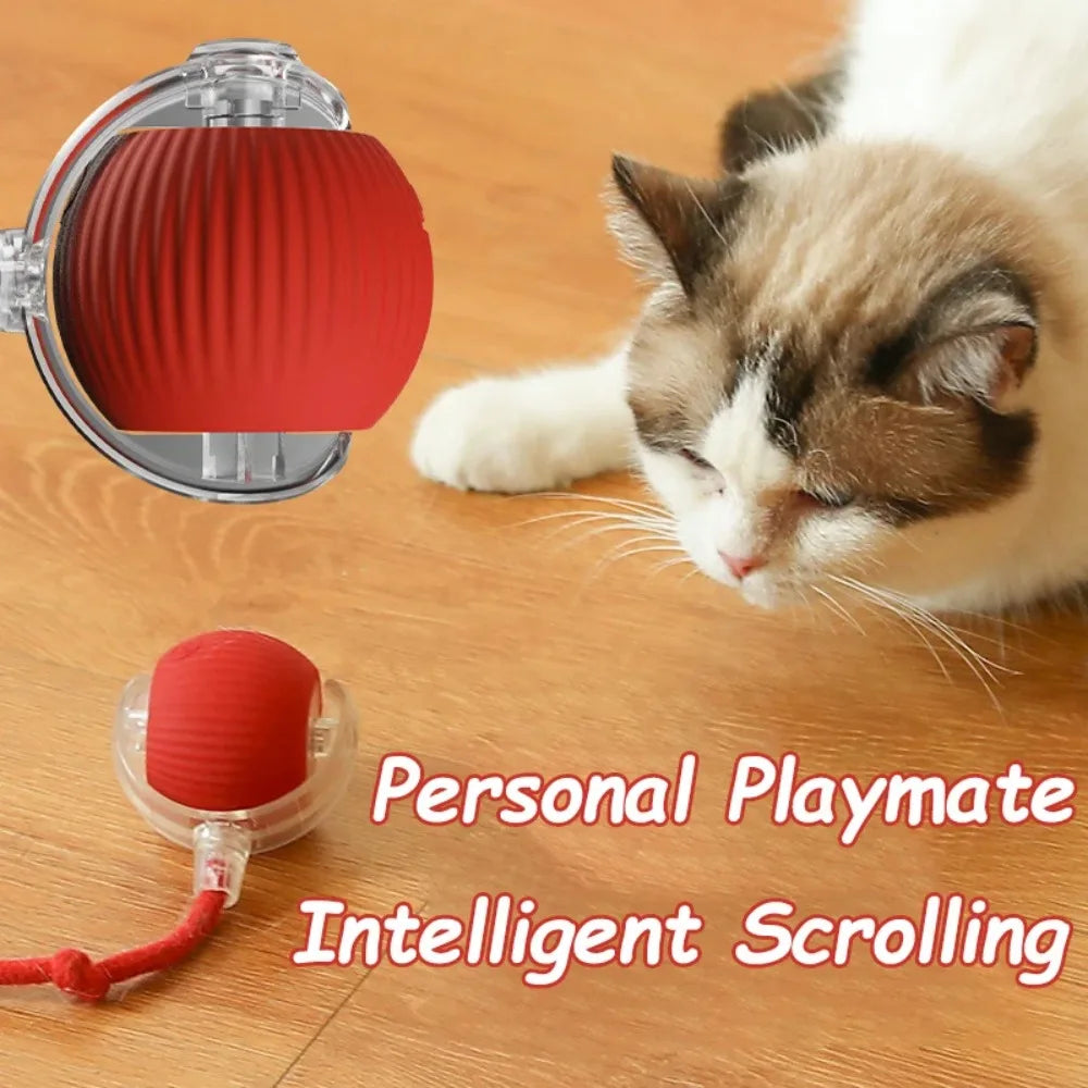 Cat playing with a red and clear toy on a wooden floor