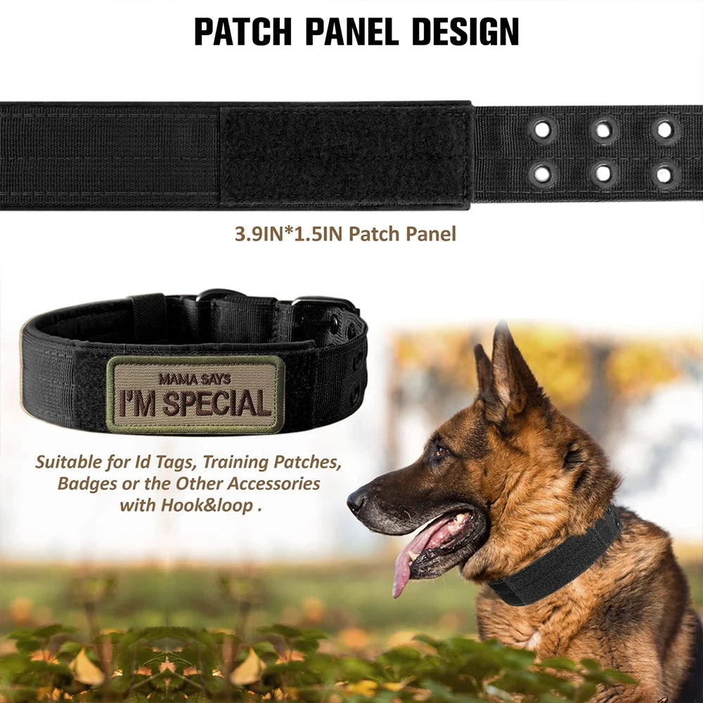 Dog collar with patch panel design featuring a German Shepherd in an outdoor setting.