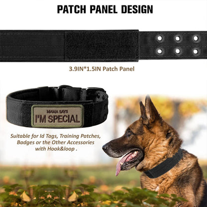 Dog collar with patch panel design featuring a German Shepherd in an outdoor setting.