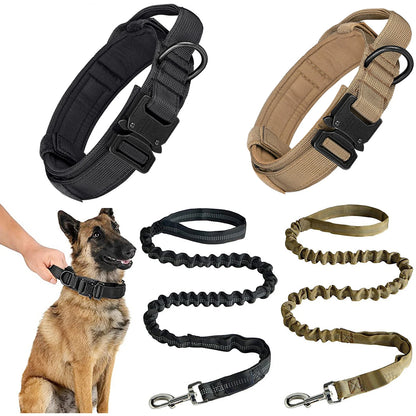 Dog collars and leashes in black and brown on a white background