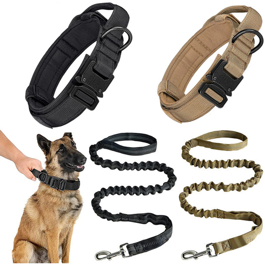 Dog collars and leashes in black and brown on a white background