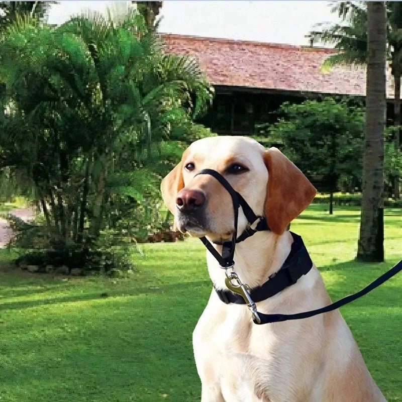 Adjustable Dog Muzzle Halter & Training Collar – Anti-Barking, Anti-Bite Nylon Harness Leash