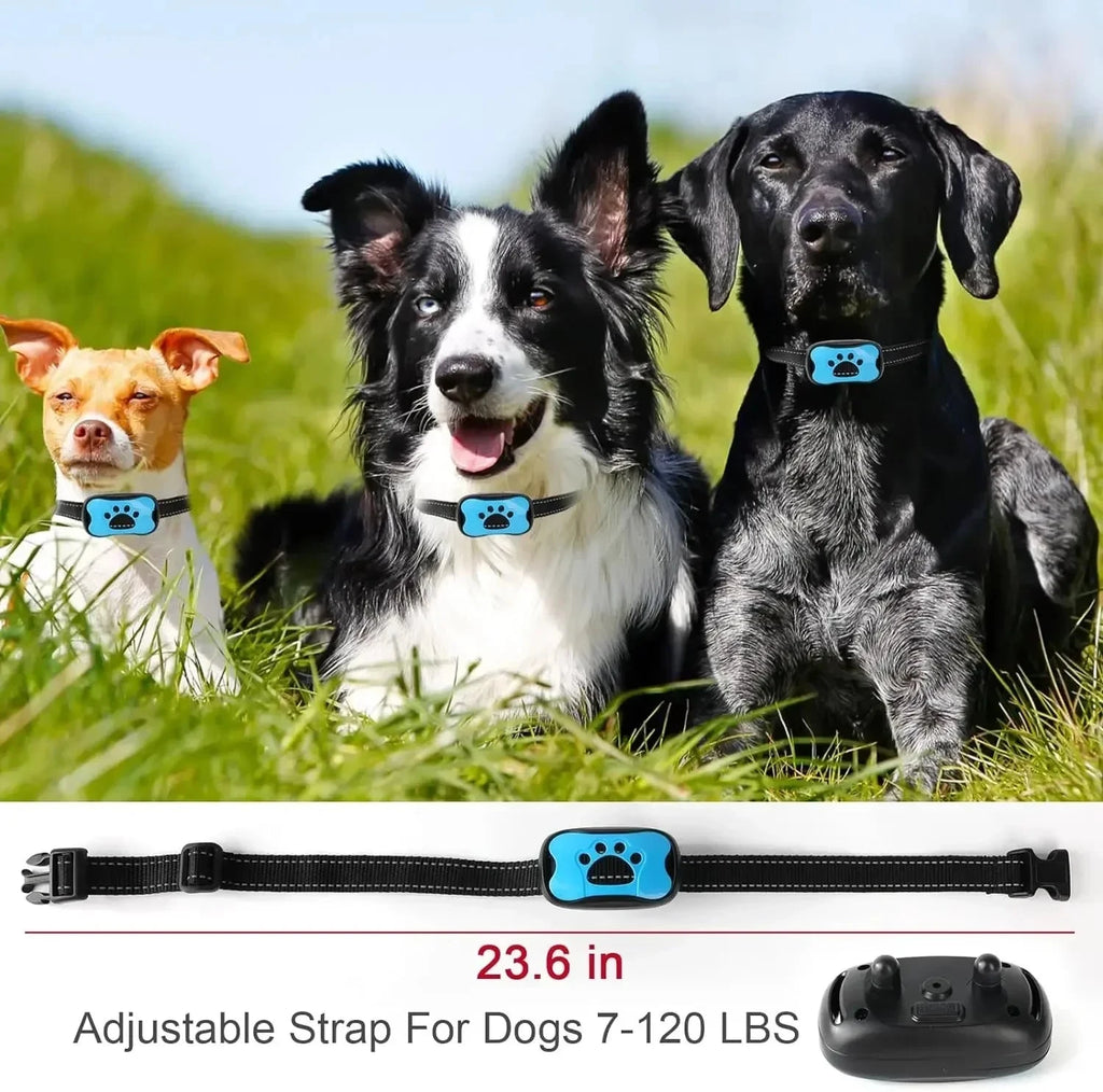 Rechargeable Dog Anti-Bark Collar with Beep & Vibration – Whisker House