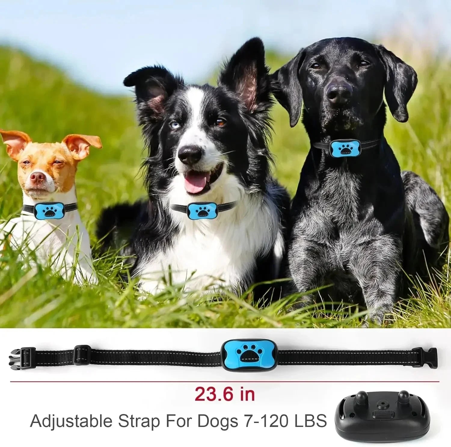 Rechargeable Dog Anti-Bark Collar with Beep & Vibration – Whisker House