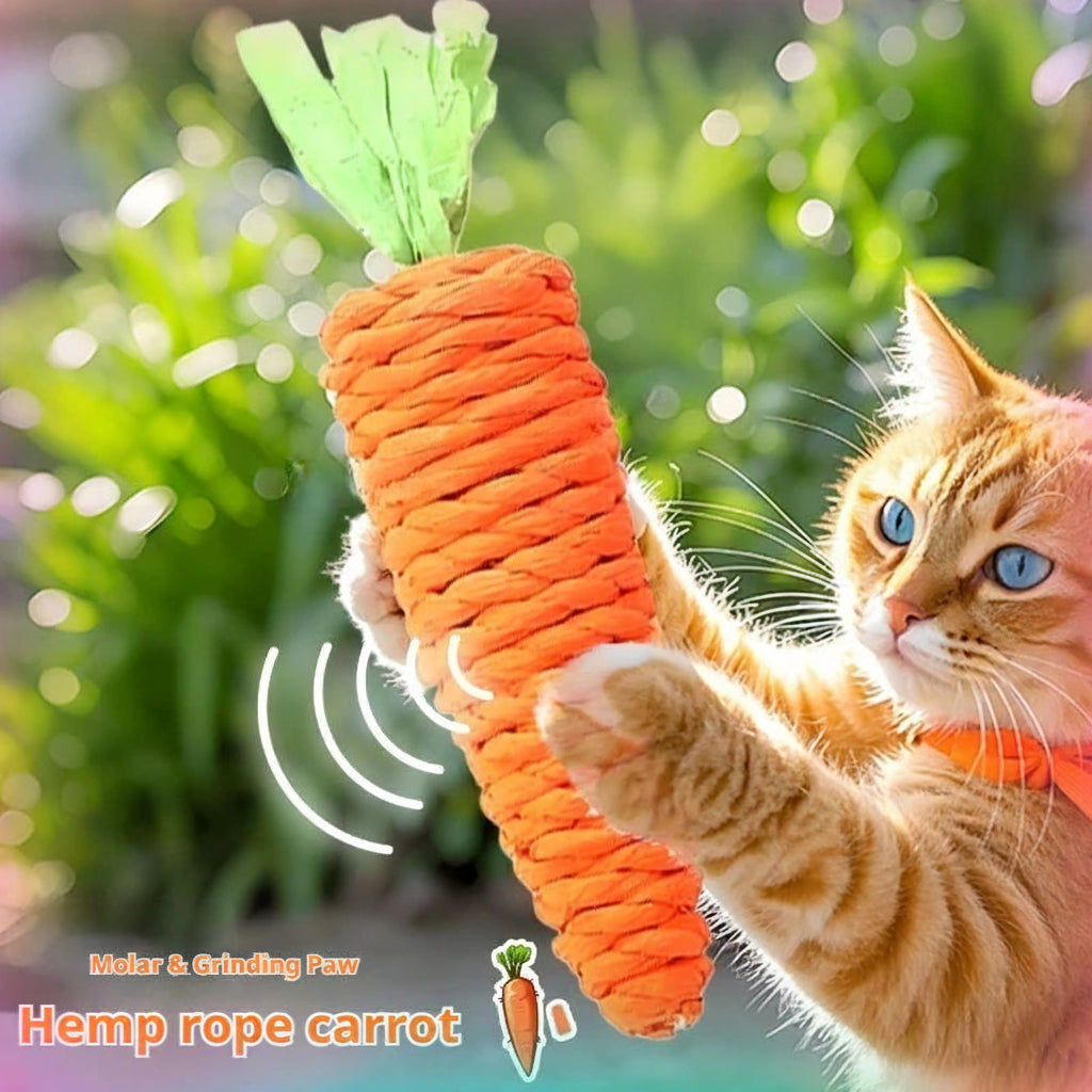 Cat playing with a carrot-shaped hemp rope toy outdoors