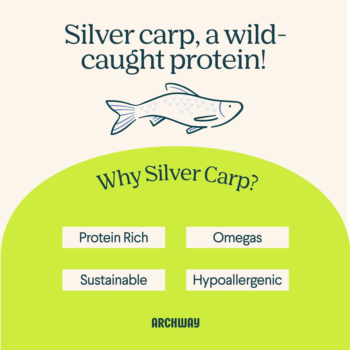 Archway Silver Carp & Sweet Potato Dog Treats | Whisker House - Whisker House