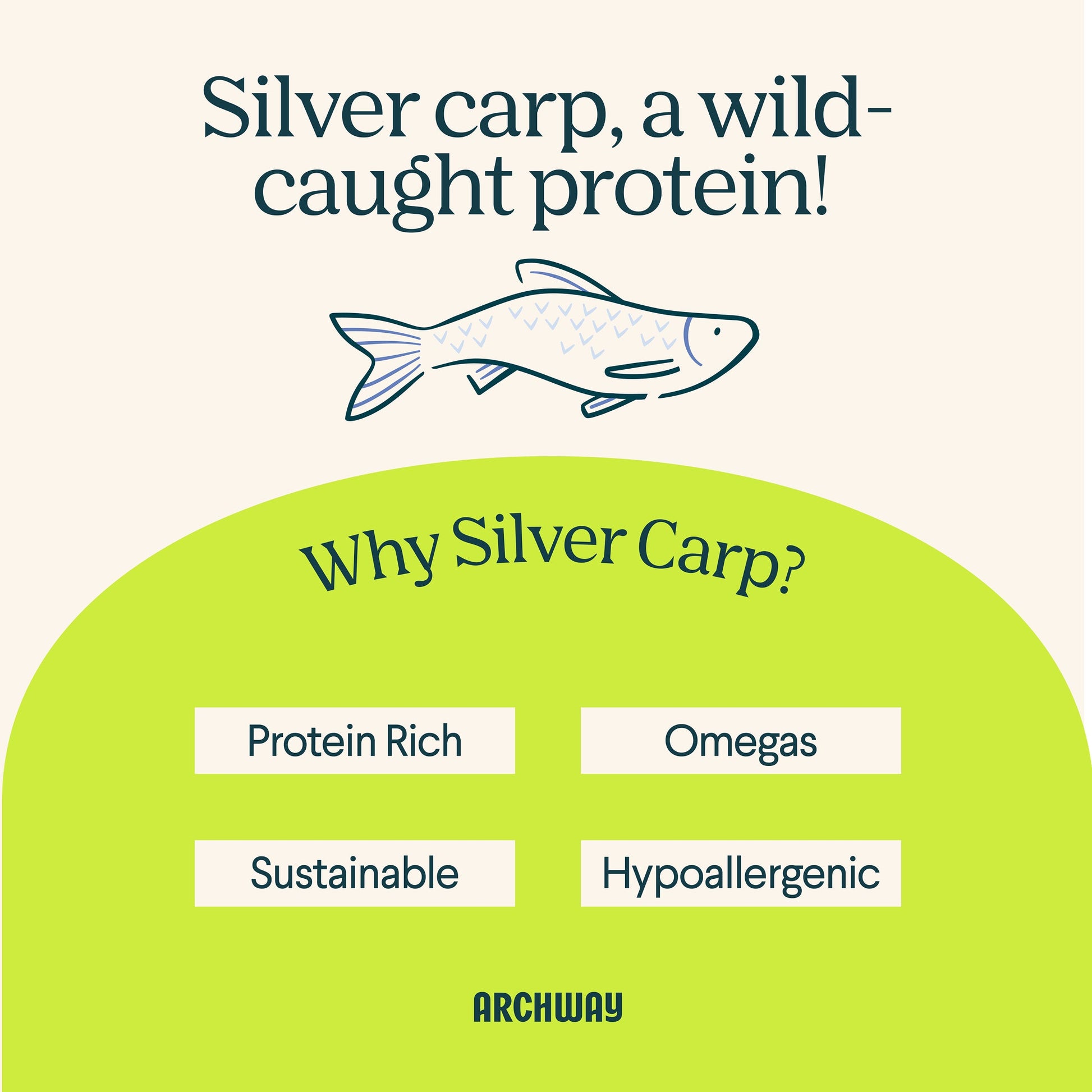 Archway Silver Carp & Sweet Potato Dog Treats | Whisker House - Whisker House