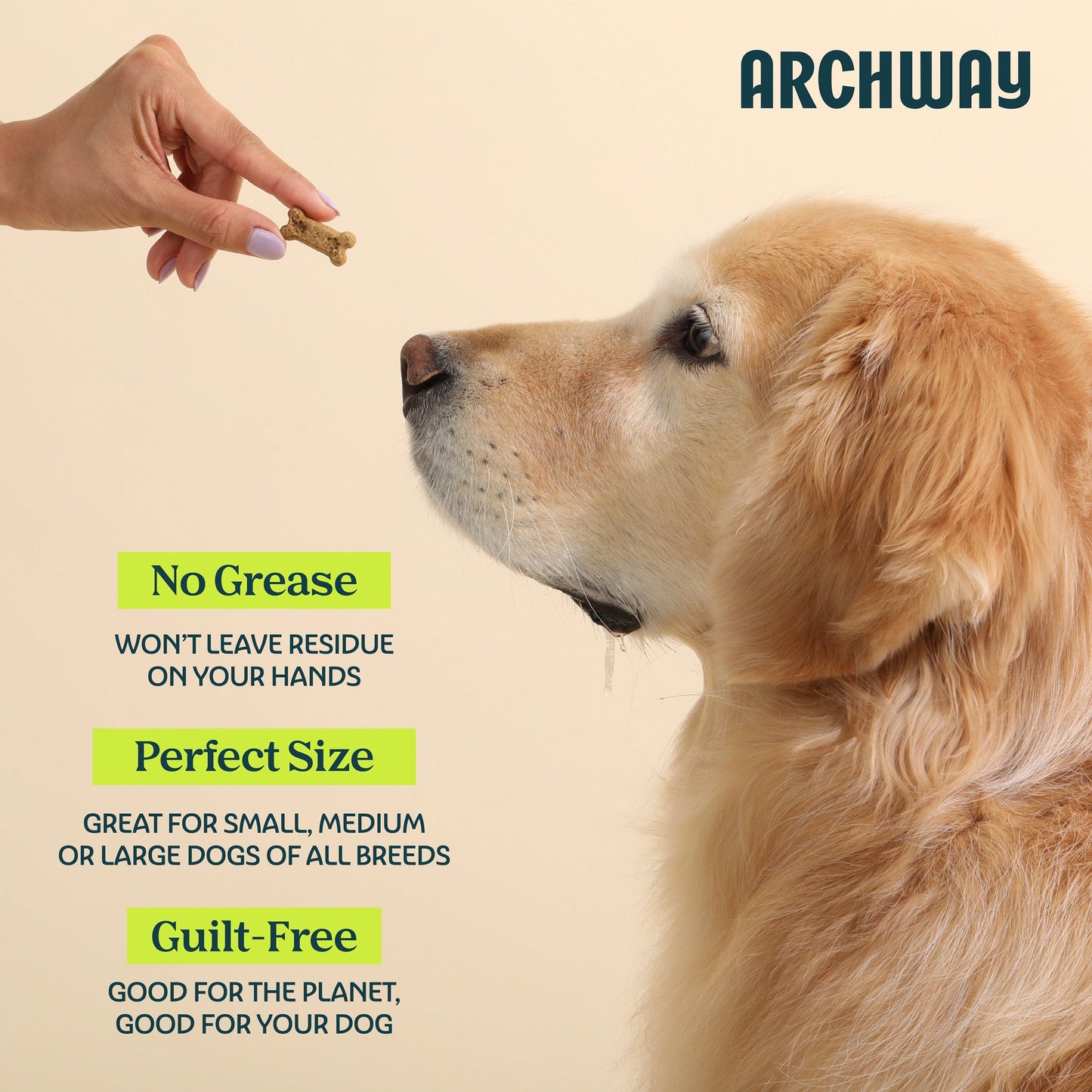 Archway Silver Carp & Sweet Potato Dog Treats | Whisker House - Whisker House